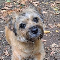Sir Barney the BT (@bobayling) 's Twitter Profile Photo Sir Barney the BT (@bobayling) 's Twitter Profile Photo