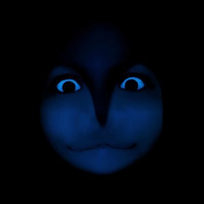 ✧NOCTUA✧さんのプロフィール画像