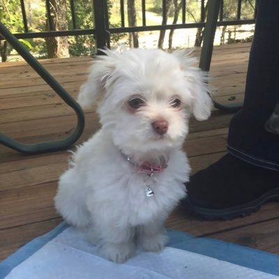 Keputz1's profile picture. Inspired by Charlie Kirk.