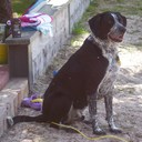 Derek Rick - @realderekrick - Twitter