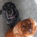 Lily-kate Lowe - @xdeffolilsx - Twitter