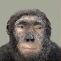 Зөв л байя (@purevdorj0220) 's Twitter Profile Photo Зөв л байя (@purevdorj0220) 's Twitter Profile Photo