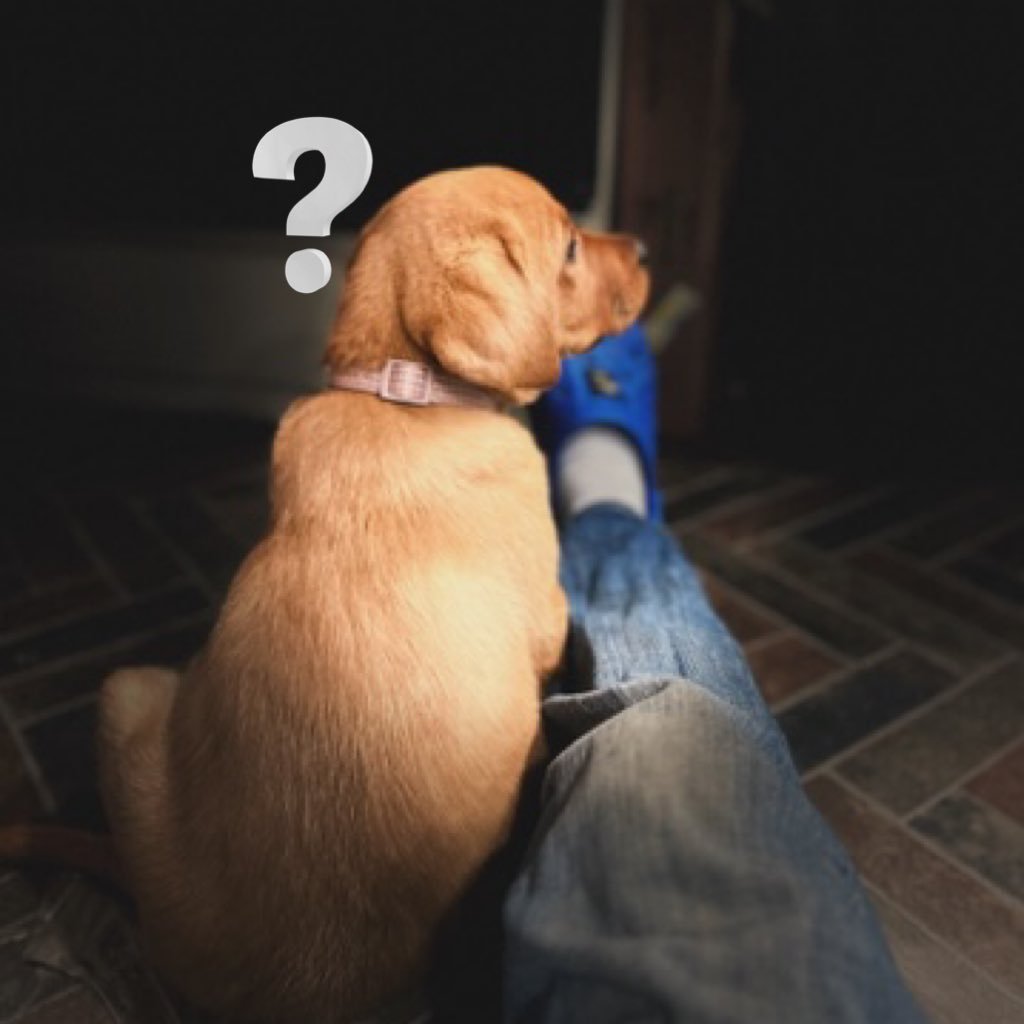 wonderfulc517's profile picture. Reddit: WonderfulComedian517