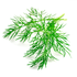 Dill (@dil_oce) 's Twitter Profile