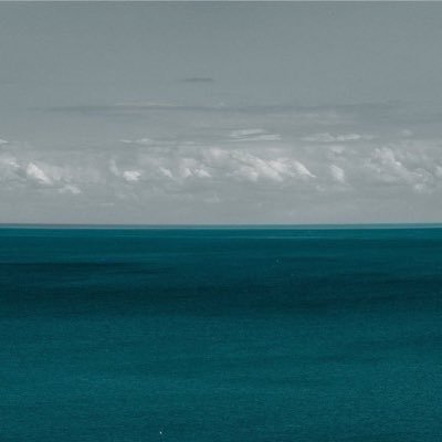 nor75091387's profile picture. 