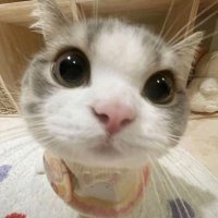 るな (@luna_xa2) Twitter profile photo