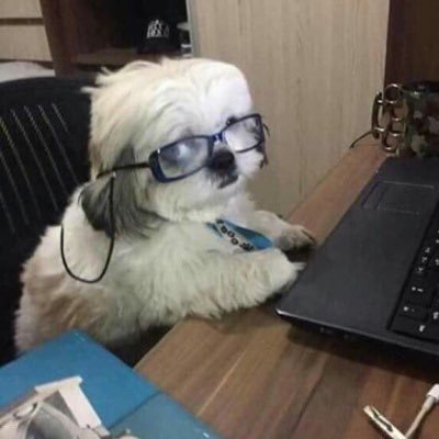 mkkkk99's profile picture. 나를 강하게 하지 마시옵고 세상을 물렁하게 해주길