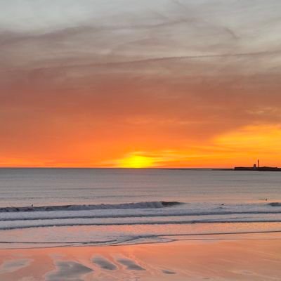 Nachapop11's profile picture. Solo retweet.