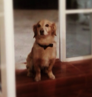 iekc's profile picture. TI