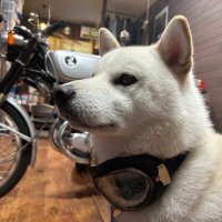 カツガレーヂMOTORCYCLE (@katsugarage2) 's Twitter Profile