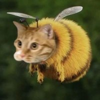 LauraIv (@lauraivys) 's Twitter Profile Photo LauraIv (@lauraivys) 's Twitter Profile Photo