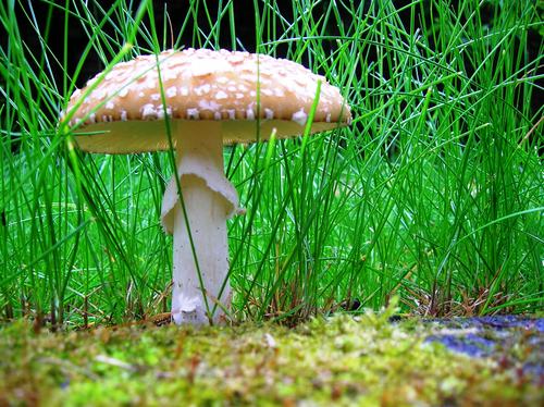 ofAugustWeary's profile picture. 