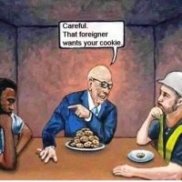 Tweebosser (@tweebosbuurt) 's Twitter Profile