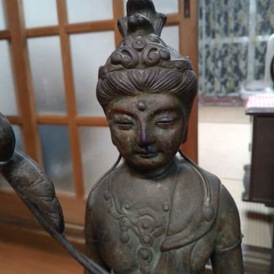 sugamorisachiko's profile picture. ピーターと毎日ゆっくり暮らしてます。