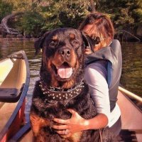 GaelicSatz (@gaelicsookie) 's Twitter Profile Photo GaelicSatz (@gaelicsookie) 's Twitter Profile Photo