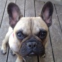 Jane Murphy - @janesiera - Twitter