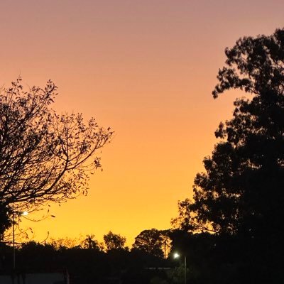 JulietteLemusu's profile picture. 🌺🇼🇸