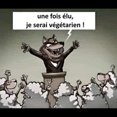 FrancescoPipeau's profile picture. Ad Tatum temporis