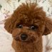 ハマのカモメ (@grow1013m) Twitter profile photo ハマのカモメ (@grow1013m) Twitter profile photo