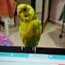 Rashi (@rashi2405) Twitter profile photo Rashi (@rashi2405) Twitter profile photo