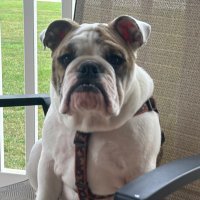 Miley the Amazon (@mikepoll77) 's Twitter Profile Photo Miley the Amazon (@mikepoll77) 's Twitter Profile Photo