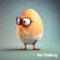 veetstaaking's profile picture. Let's search together p2e games, nfts giveaways and exciting news about solana gaming. always use a burner wallet for minting and dyor. solanagaming