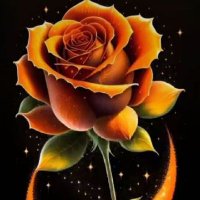 فحل يعجبك (@rajh_fwaz1371) Twitter profile photo