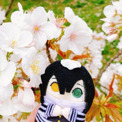 ゆず蜜柑🍊さんのプロフィール画像