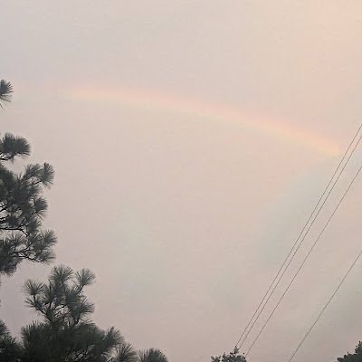 brayner61224's profile picture. 