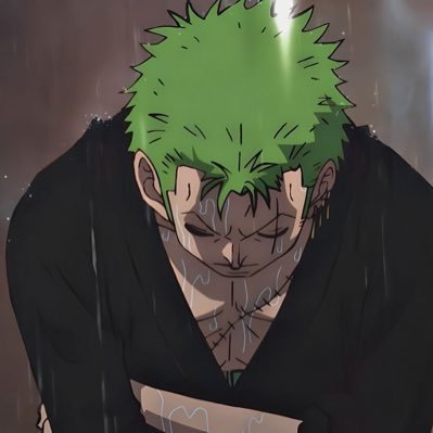 roronoa zoro ⚔️ — sleepさんのプロフィール画像