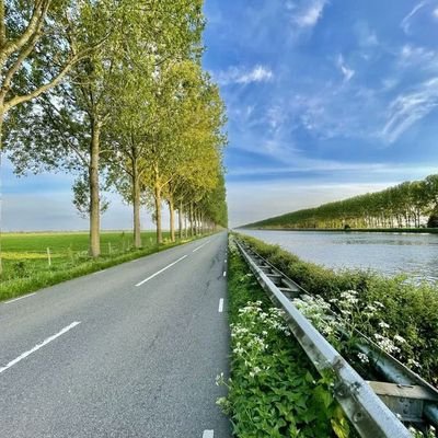 Reeyuhdumpz's profile picture. tambakan kase y nat