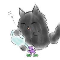 逃亡する猫 🍙【本物】 (@toubou_neko) 's Twitter Profile