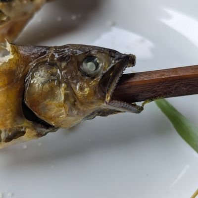 Multos239107's profile picture. 