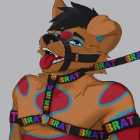 Panda-Guido (@guidos22812708) 's Twitter Profile