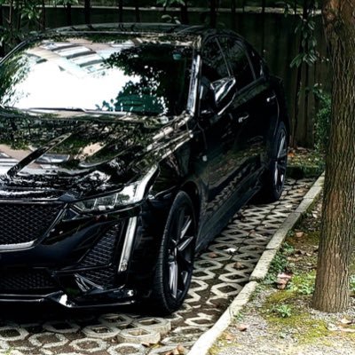 shirtyande22014's profile picture. Cryptographic currency player