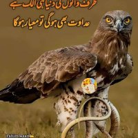 Naseem Khan (@naseemkhan97906) 's Twitter Profile