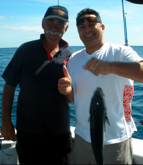 MaoriBusiness's profile picture. Sharing, promoting and exploring Maori business