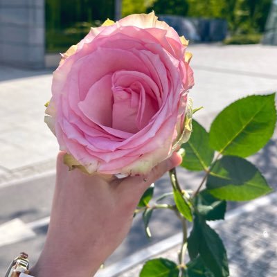 ccmrcz's profile picture. ポーランド13年目🇵🇱夫ポーランド人、うさぎはホーランドロップの9才（おじいさん）🐰ポーランド語勉強中。次はB2夢はポーランド語でさまざまな本を読むこと。最近ハープ始めました🥰🪉