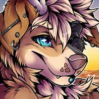 🏳️⚧️👑 Shuck ΘΔ 🐺🍉 (@caniisfeliidae) 's Twitter Profile