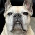 valentino lorenzetti (@valentinol5167) Twitter profile photo valentino lorenzetti (@valentinol5167) Twitter profile photo