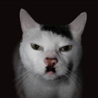 Bonni (@_bonnni_) 's Twitter Profile