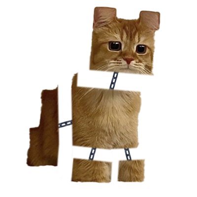 blockc_cat's profile picture. 
