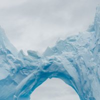 Neil Ever Osborne (@neileverosborne) 's Twitter Profile Photo