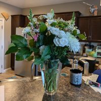 Archimedes & Alba - WHV Mom (@aima70815939) 's Twitter Profile