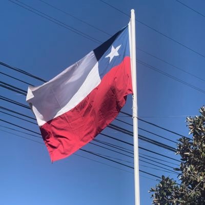 patriciacasano7's profile picture. 