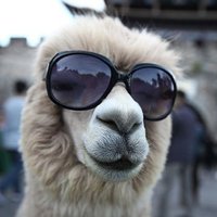 prks (@prrksve) 's Twitter Profile
