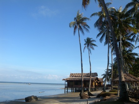 Eliana_Fel's profile picture. 