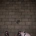 ABCDTop1 (@zh111000zh) Twitter profile photo ABCDTop1 (@zh111000zh) Twitter profile photo