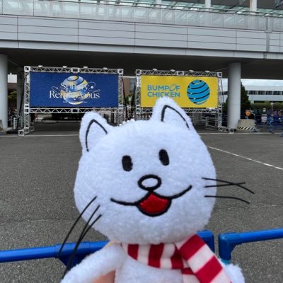 もっちー✩ (@syujuu) / Posts / X