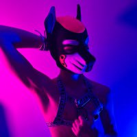 PupAltair (@pupaltair) 's Twitter Profile Photo PupAltair (@pupaltair) 's Twitter Profile Photo